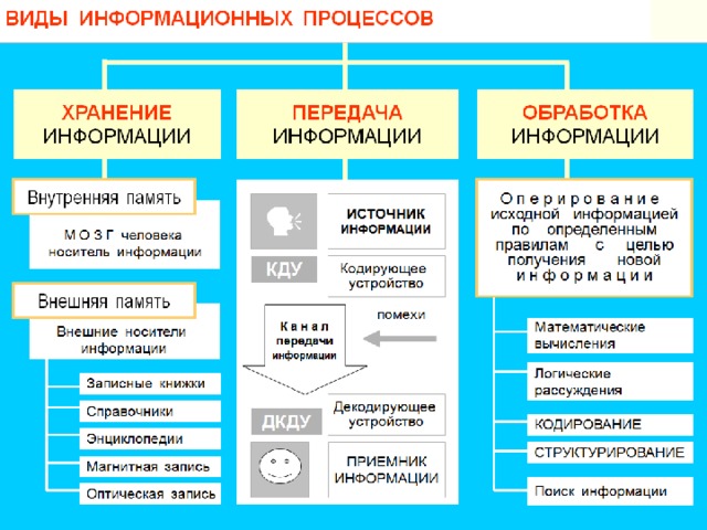 III. Изучение нового материала.  1. основные информационные процессы.  2. хранение информации.