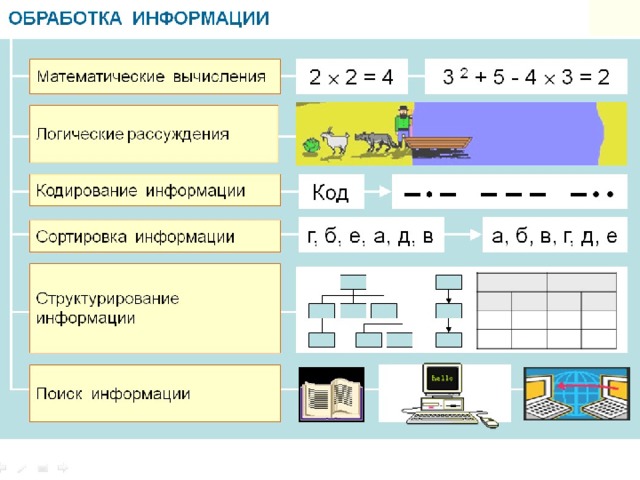 4. Обработка информации. 5. Поиск информации. 6. Информационные процессы в живой природе.