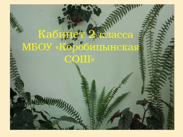  Кабинет 2 класса МБОУ «Коробицынская  СОШ» 