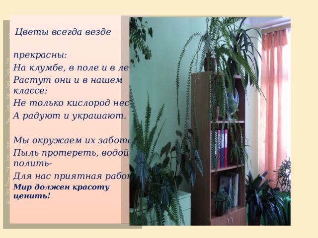  Цветы всегда везде  прекрасны: На клумбе, в поле и в лесу. Растут они и в нашем классе: Не только кислород несут, А радуют и украшают.  Мы окружаем их заботой. Пыль протереть, водой полить- Для нас приятная работа. Мир должен красоту ценить!     