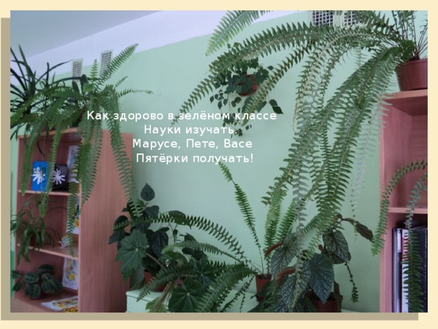     Как здорово в зелёном классе  Науки изучать.  Марусе, Пете, Васе  Пятёрки получать!       