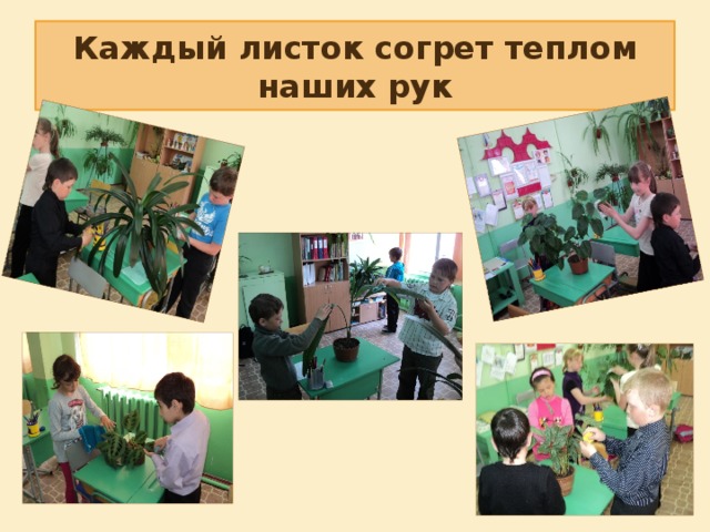 Каждый листок согрет теплом наших рук 