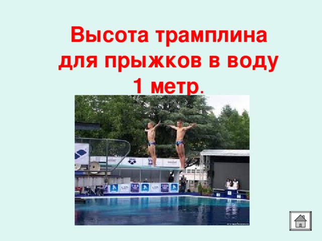 Высота трамплина для прыжков в воду 1 метр . 