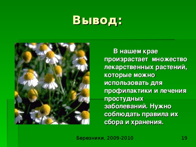 Проект по теме лекарственные растения 9 класс