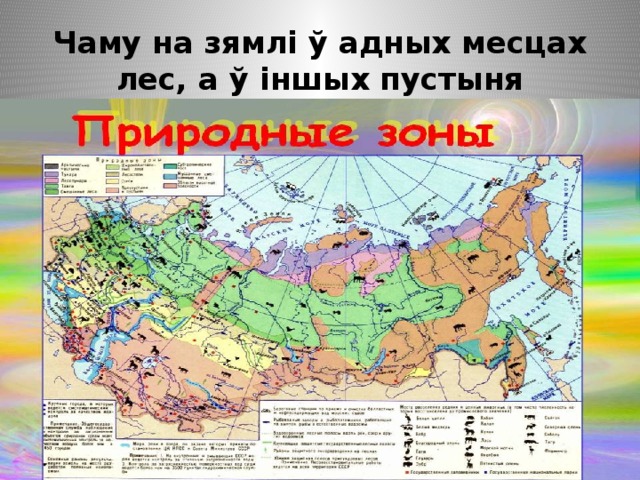 Карта природные зоны купить. Зона пустынь на карте России.