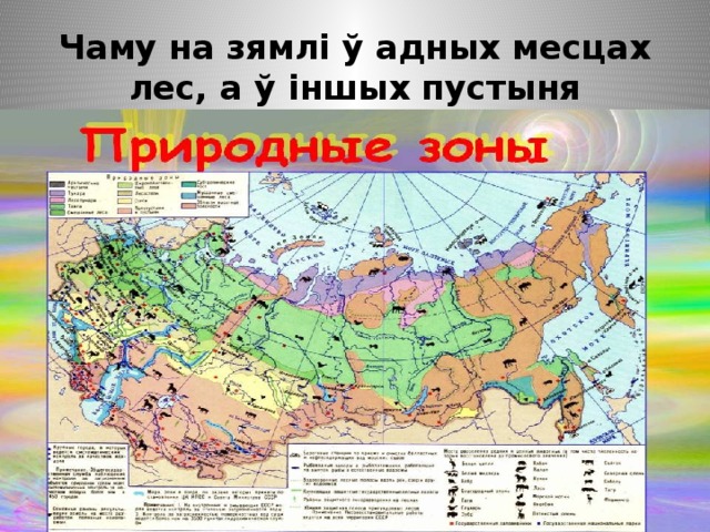 Карта природной зоны пустыни