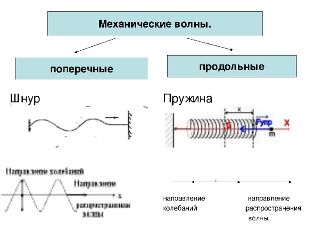 На рисунке представлена фотография шнура по которому распространяется поперечная волна скорость 24