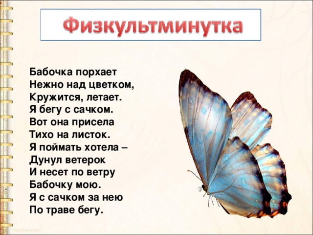 Бабочка порхает  Нежно над цветком,  Кружится, летает.  Я бегу с сачком.  Вот она присела  Тихо на листок.  Я поймать хотела –  Дунул ветерок  И несет по ветру  Бабочку мою.  Я с сачком за нею  По траве бегу. 