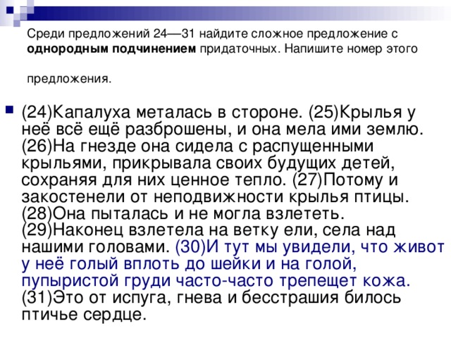 Среди предложений 24––31 найдите сложное предложение с однородным подчинением придаточных. Напишите номер этого предложения.