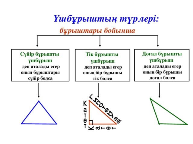 Үшбұрыш түрлері