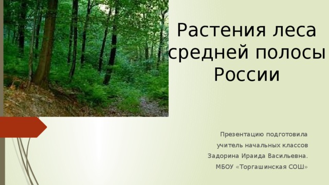 Растения леса средней полосы России Презентацию подготовила учитель начальных классов Задорина Ираида Васильевна. МБОУ «Торгашинская СОШ» 