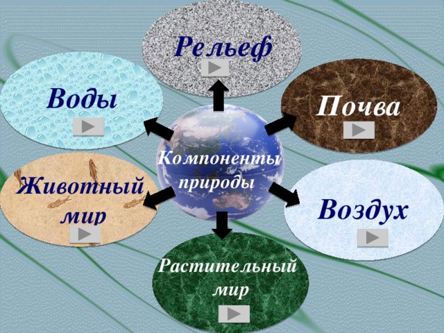 Схема взаимодействий между компонентами природного комплекса