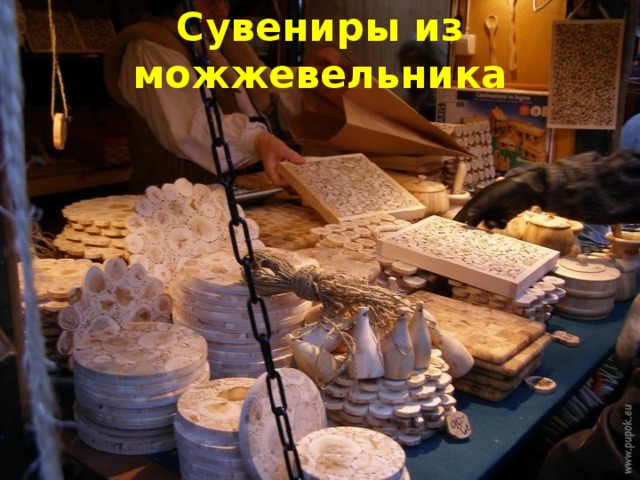 Сувениры из можжевельника 
