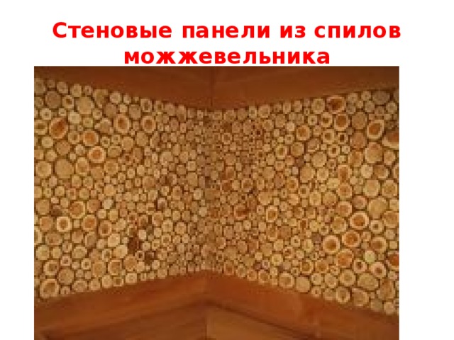 Стеновые панели из спилов можжевельника 