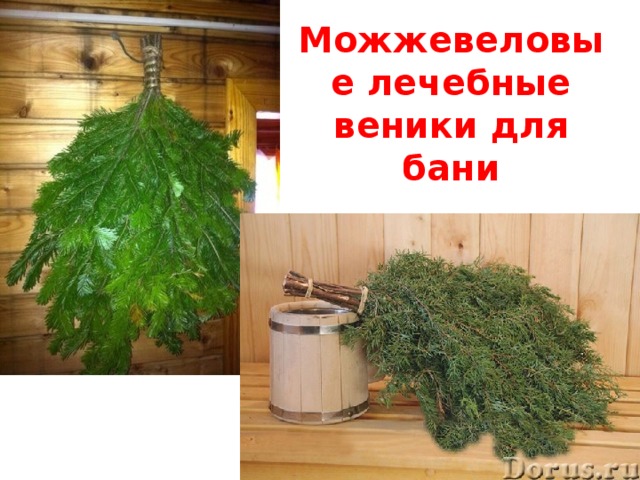 Можжевеловые лечебные веники для бани хорошо 