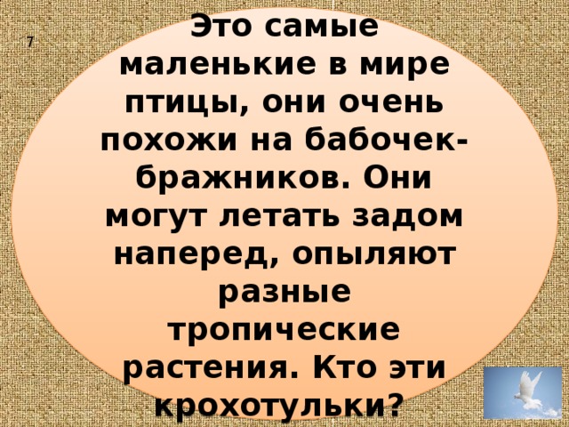Это самые маленькие в мире птицы, они очень похожи на бабочек-бражников. Они могут летать задом наперед, опыляют разные тропические растения. Кто эти крохотульки? 7 