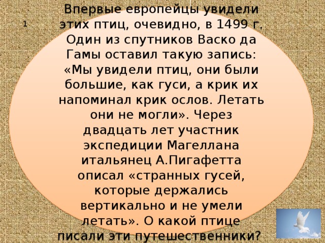 Когда европейцы впервые увидели его они сказали что у этого животного 2 хвоста