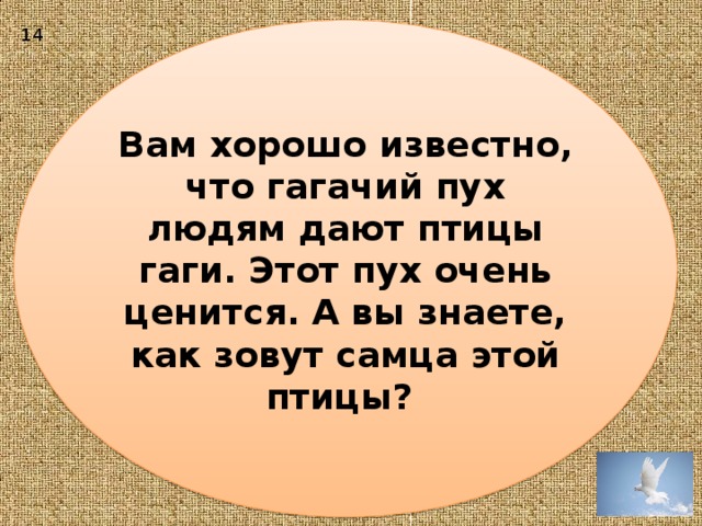 Вам хорошо известно, что гагачий пух людям дают птицы гаги. Этот пух очень ценится. А вы знаете, как зовут самца этой птицы? 14 