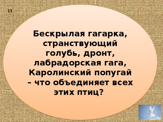 Бескрылая гагарка, странствующий голубь, дронт, лабрадорская гага, Каролинский попугай – что объединяет всех этих птиц? 15 