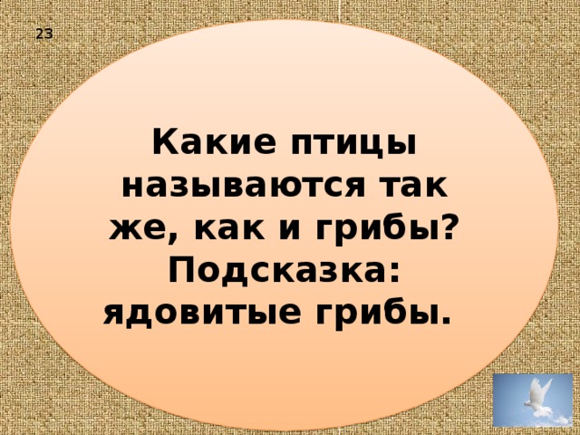 Какие птицы называются так же, как и грибы? Подсказка: ядовитые грибы. 23 