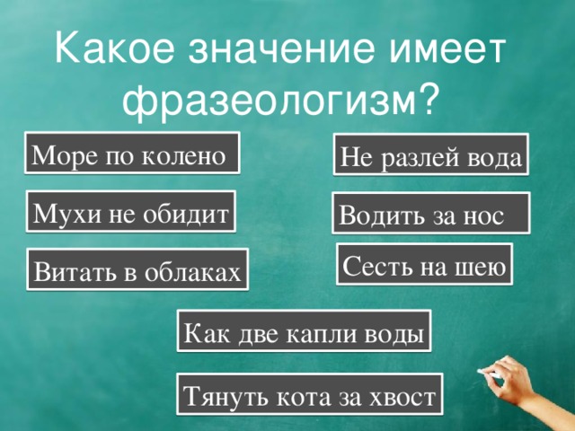 Что означает бывало. Море по колено фразеологизм. Фразеологизмы про море. Море по колено значение фразеологизма. Фразеологизмы про шею.