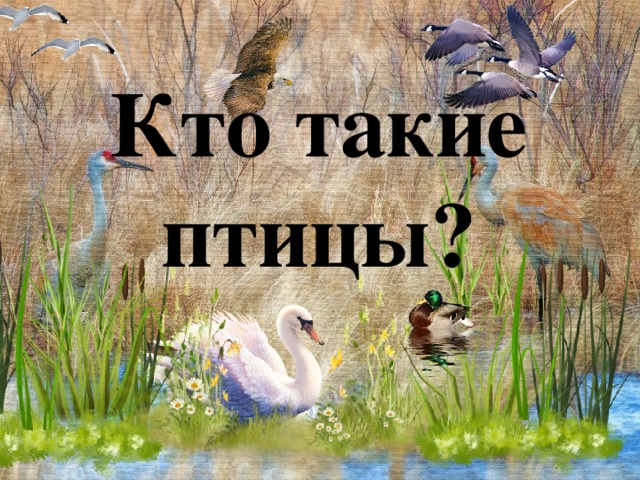 Кто такие эколята презентация