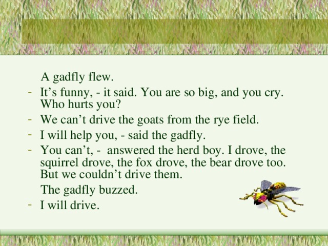  A gadfly flew. It’s funny, - it said. You are so big, and you cry. Who hurts you? We can’t drive the goats from the rye field. I will help you, - said the gadfly. You can’t, - answered the herd boy. I drove, the squirrel drove, the fox drove, the bear drove too. But we couldn’t drive them.  The gadfly buzzed. I will drive. 