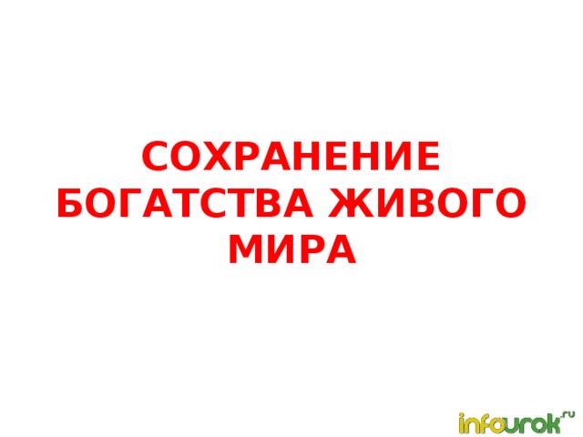 Сохраним богатство живого мира 5 класс биология презентация