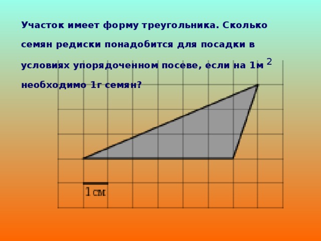    Участок имеет форму треугольника. Сколько семян редиски понадобится для посадки в условиях упорядоченном посеве, если на 1м  2 необходимо 1г семян? 