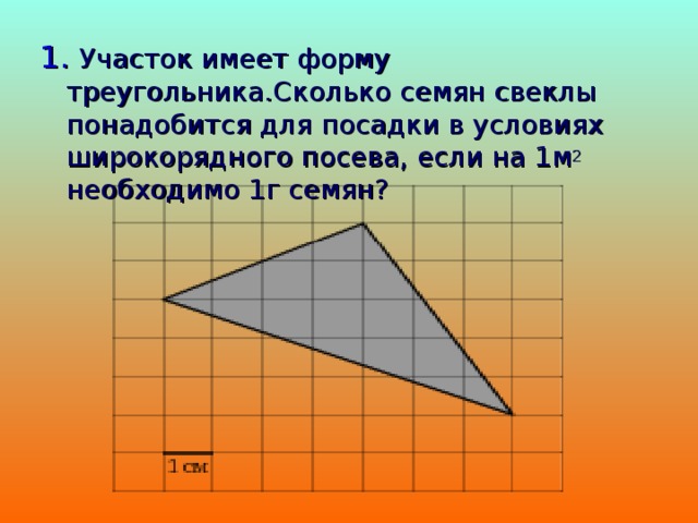1. Участок имеет форму треугольника.Сколько семян свеклы понадобится для посадки в условиях широкорядного посева, если на 1м 2 необходимо 1г семян? 