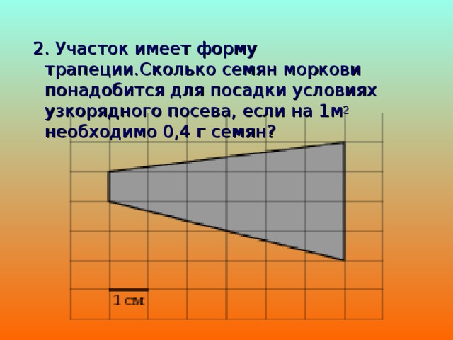  2.  Участок имеет форму трапеции.Сколько семян моркови понадобится для посадки условиях узкорядного посева, если на 1м 2 необходимо 0,4 г семян? 