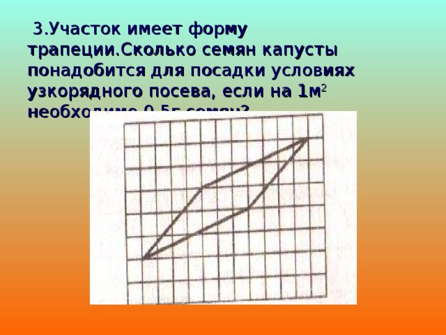  3.Участок имеет форму трапеции.Сколько семян капусты понадобится для посадки условиях узкорядного посева, если на 1м 2 необходимо 0,5г семян?   