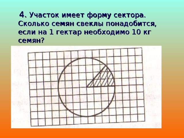  4.  Участок имеет форму сектора. Сколько семян свеклы понадобится, если на 1 гектар необходимо 10 кг семян? 