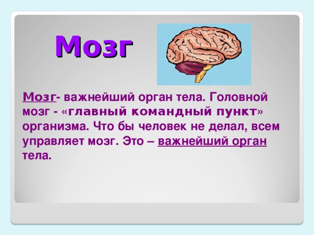 Слова с буквами мозги. Интересная информация о мозге. Сообщение про мозг человека. Интересные факты о мозге человека. Мозг для дошкольников.