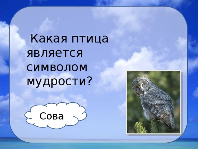  Какая птица является символом мудрости?  Сова 