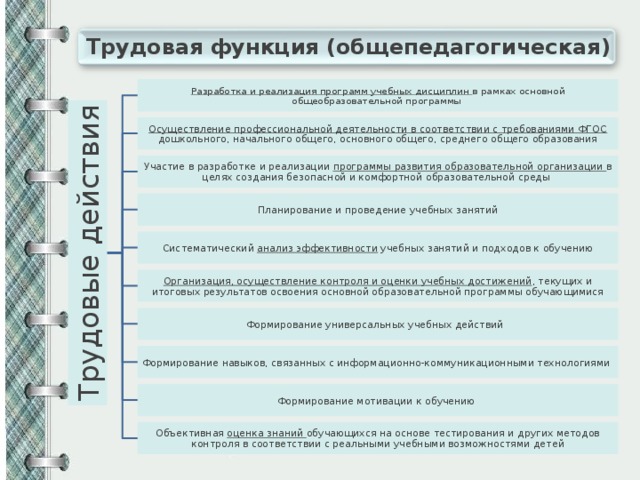 Трудовые функции педагога профессионального образования