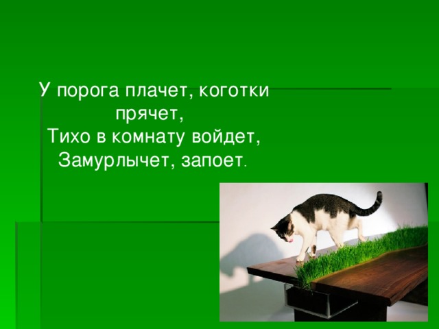 У порога плачет коготки прячет тихо в комнату войдет замурлычет запоет