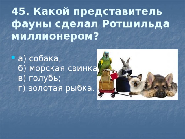 45. Какой представитель фауны сделал Ротшильда миллионером?   а) собака;  б) морская свинка;  в) голубь;  г) золотая рыбка. 