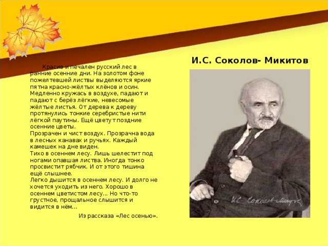 И.С. Соколов- Микитов  Красив и печален русский лес в ранние осенние дни. На золотом фоне пожелтевшей листвы выделяются яркие пятна красно-жёлтых клёнов и осин. Медленно кружась в воздухе, падают и падают с берёз лёгкие, невесомые жёлтые листья. От дерева к дереву протянулись тонкие серебристые нити лёгкой паутины. Ещё цветут поздние осенние цветы.  Прозрачен и чист воздух. Прозрачна вода в лесных канавах и ручьях. Каждый камешек на дне виден.  Тихо в осеннем лесу. Лишь шелестит под ногами опавшая листва. Иногда тонко просвистит рябчик. И от этого тишина ещё слышнее.  Легко дышится в осеннем лесу. И долго не хочется уходить из него. Хорошо в осеннем цветистом лесу... Но что-то грустное, прощальное слышится и видится в нём… Из рассказа «Лес осенью».