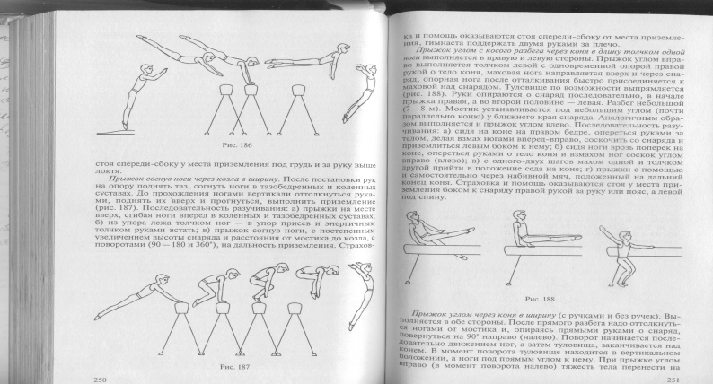 План конспект для 7 класса по гимнастике