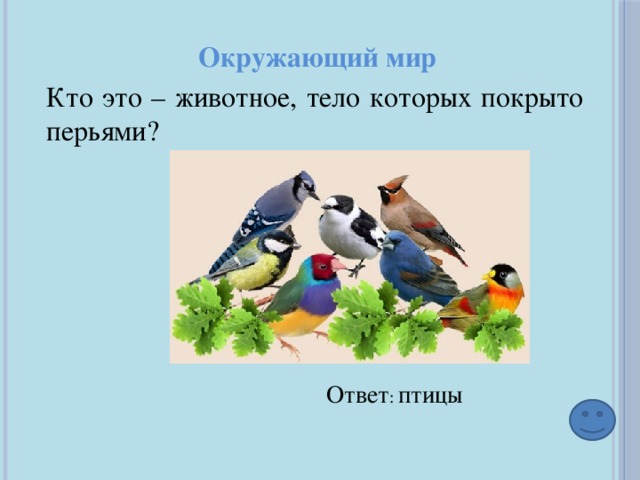 Окружающий мир Кто это – животное, тело которых покрыто перьями? Ответ : птицы 