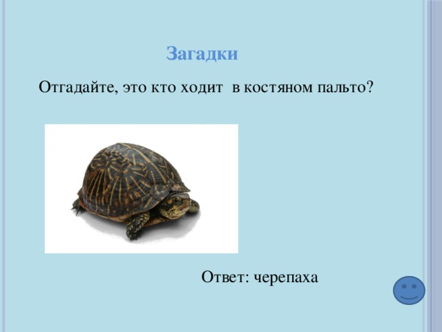 Загадки Отгадайте, это кто ходит в костяном пальто? Ответ: черепаха 