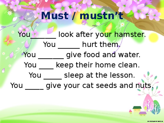 Must / mustn’t You_______ look after your hamster. You ______ hurt them. You _______ give food and water. You ____ keep their home clean. You _____ sleep at the lesson. You _____ give your cat seeds and nuts. 