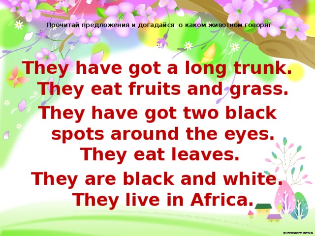 Прочитай предложения и догадайся о каком животном говорят They have got a long trunk. They eat fruits and grass. They have got two black spots around the eyes. They eat leaves. They are black and white. They live in Africa.  