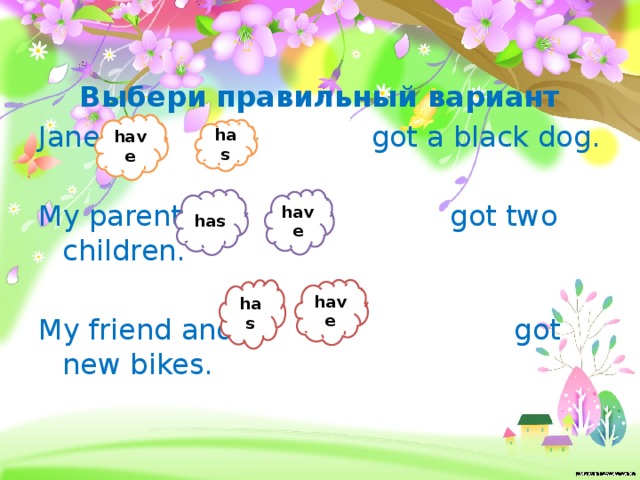 Выбери правильный вариант have has. My friends have got или has got. My friend have или has. Выбрать правильный вариант have has. My friends have или has got Bikes.