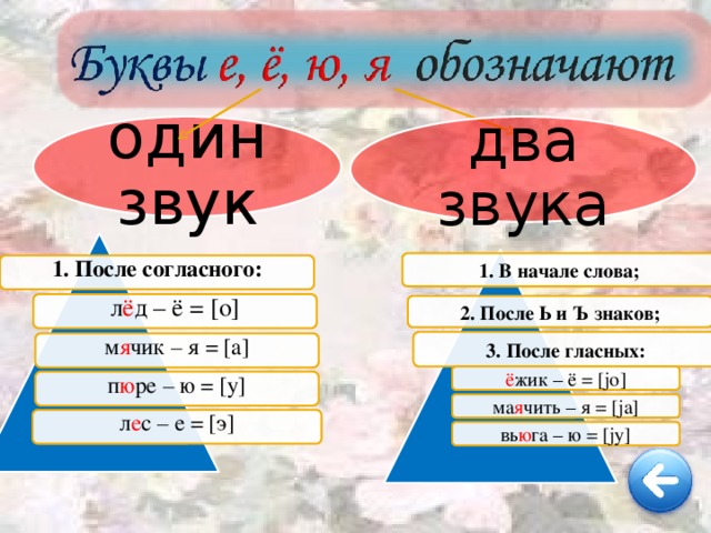 Слово ю после гласного звука. Буквы обозначающие один звук. Буква е обозначает один звук в слове. После согласного один звук в слове. Буква ё обозначает 1 звук.