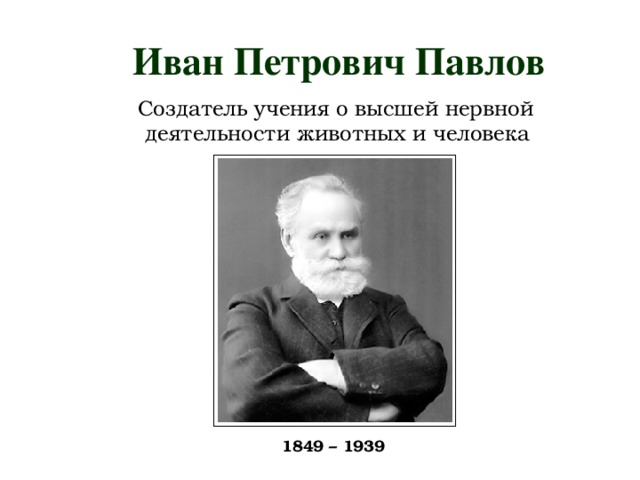 Иван Петрович Павлов  Создатель учения о высшей нервной деятельности животных и человека  1849 – 1939 
