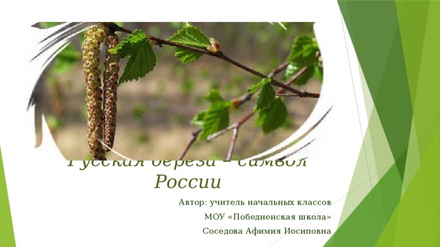 Берёза символ России для дошкольников. Русская берёзка символ России. Березка символ России для дошкольников. Буклет береза символ России.