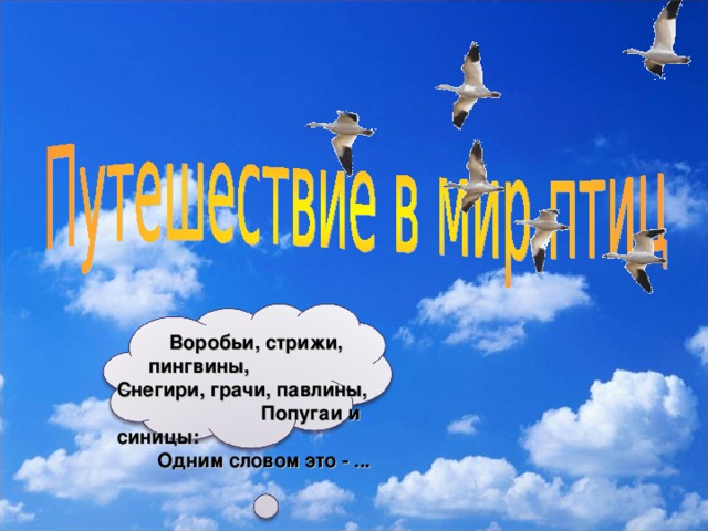 Воробьи, стрижи, пингвины, Снегири, грачи, павлины, Попугаи и синицы: Одним словом это - ...