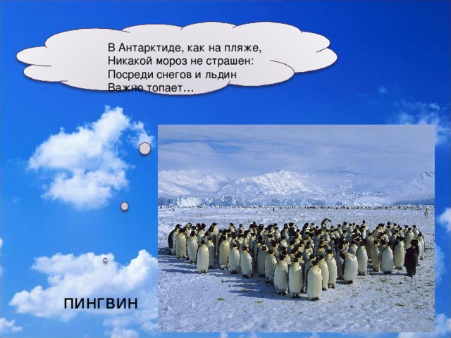 В Антарктиде, как на пляже,  Никакой мороз не страшен:  Посреди снегов и льдин  Важно топает… пингвин